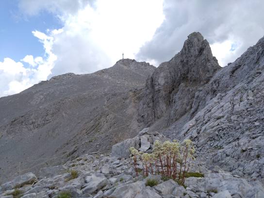 Große Kinigat/Monte Cavallino