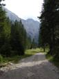 Tamar (haute vallée de Planica)