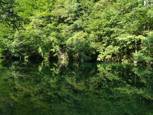 Rivière Idrija