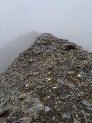 Bärenhorn