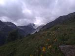 Brunegggletscher