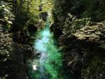 Rivière Rakitnica