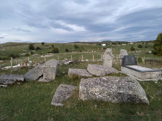 stećci dans l'ancien cimetière de Blace