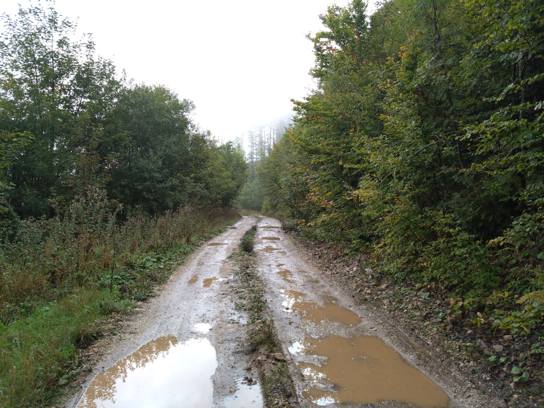 L'automne est là