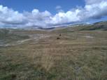 Sur les hauteurs du massif du Dinara