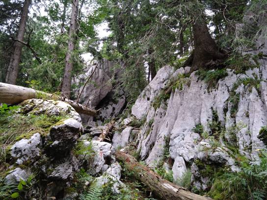 Le sentier, dans les Bijele i Samarske stijene...