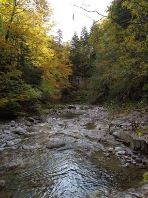 Torrent de Vučji