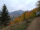 Plav