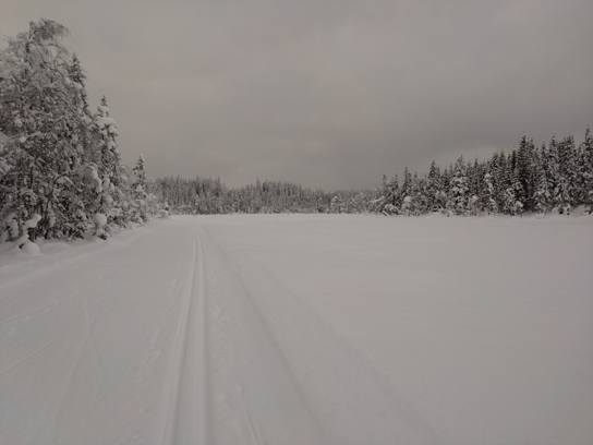 Nordmarka