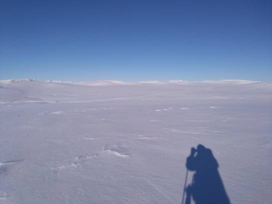 Il y a une cabane au milieu de tout ce blanc
