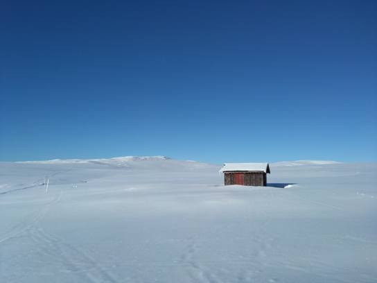 La cabane, de près