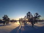 Derniers rayons