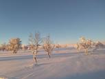 Derniers rayons