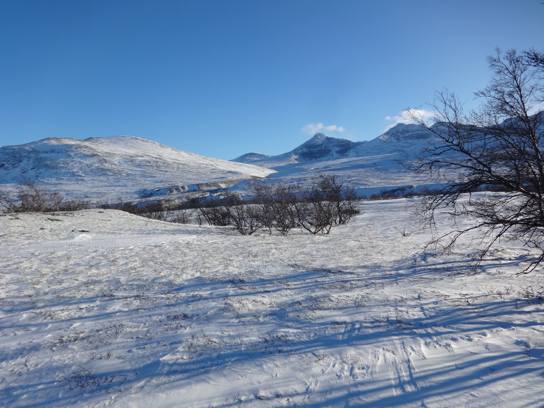 Au cœur des Rondane