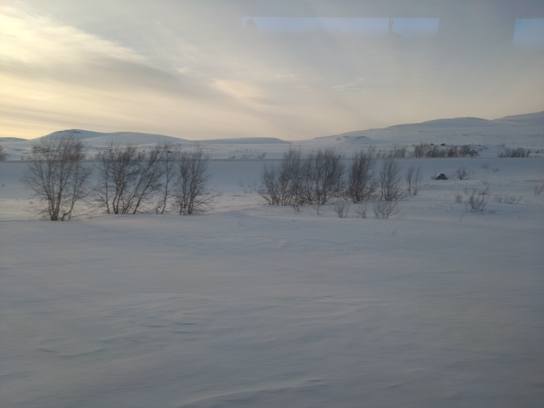 Train de Trondheim à Bodø