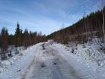 Une piste de ski de fond, enfin ce qu'il en reste