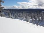 La forêt boréale à perte de vue