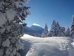 Premières vues sur le Grand Veymont