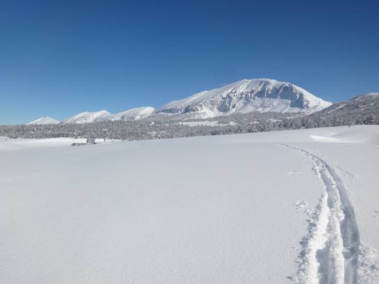 Jasse de la Grande Cabane